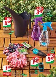 Dino gazetka tydzień 24 Strona 61