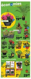 Super C flyer week 24 Page 15