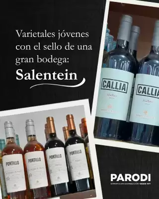 Catálogo Parodi (válido hasta 15-06)