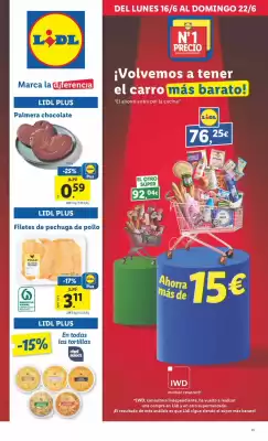 Folleto Lidl (válido hasta el 22-06)