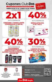 Catálogo Supermercados DIA semana 24 Página 6