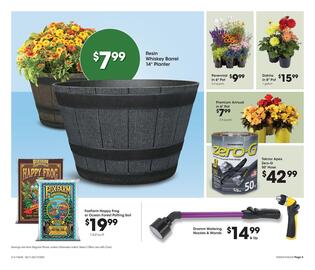 Fred Meyer Weekly Ad week 24 Page 6