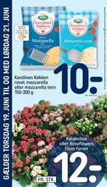 REMA 1000 tilbudsavis uge 25 Side 28