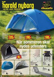 Harald Nyborg tilbudsavis uge 24 Side 1