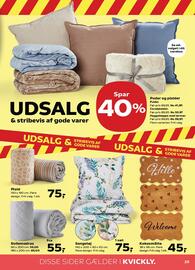 Kvickly tilbudsavis uge 24 Side 29