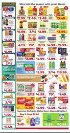 Cardenas Weekly Ad week 24 Page 2