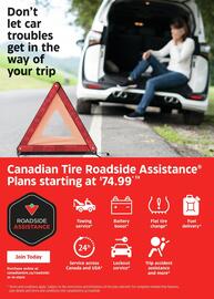 Canadian Tire flyer Page 25