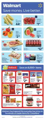 Walmart flyer (valid until 4-07)