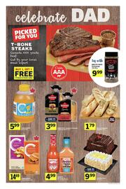 IGA flyer Page 9