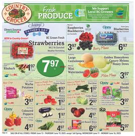 Country Grocer flyer week 24 Page 14