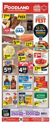 Foodland flyer (valid until 18-06)