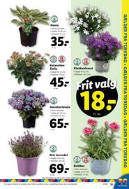 Lidl tilbudsavis uge 25 Side 31