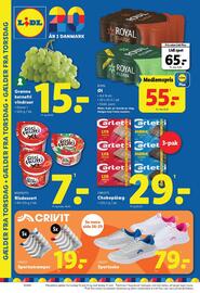 Lidl tilbudsavis uge 25 Side 36