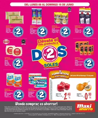 Catálogo MaxiAhorro (válido hasta 15-06)