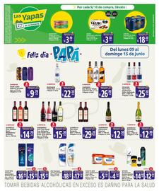 Catálogo Mayorsa semana 24 Página 2