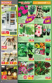 Catalogue Norma semaine 25 page 4