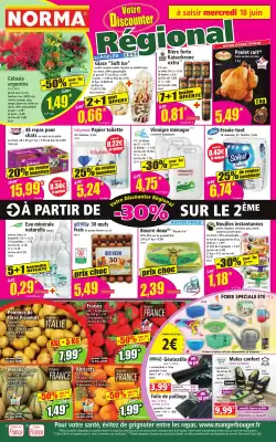 Catalogue Norma