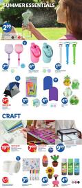 Lidl Weekly Ad week 24 Page 5