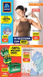 Hofer Flugblatt woche 24 Seite 1