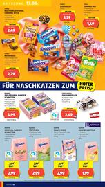 Hofer Flugblatt woche 24 Seite 12