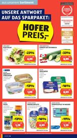Hofer Flugblatt woche 24 Seite 14