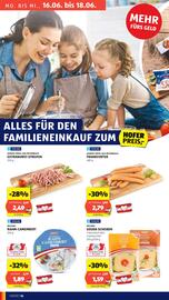 Hofer Flugblatt woche 24 Seite 18