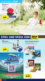 Hofer Flugblatt woche 24 Seite 29