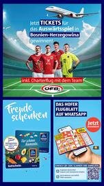 Hofer Flugblatt woche 24 Seite 3