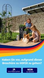 Hofer Flugblatt woche 24 Seite 40