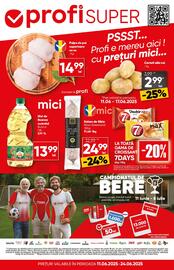 Catalog PROFI Pagină 1