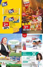 Catalog PROFI Pagină 13