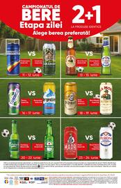 Catalog PROFI Pagină 16