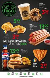 Catalog PROFI Pagină 17