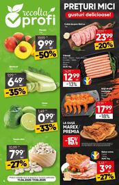 Catalog PROFI Pagină 4