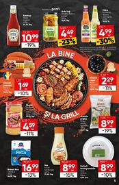 Catalog PROFI Pagină 5