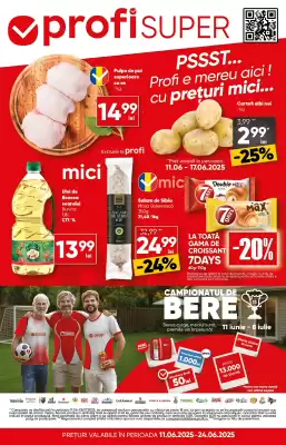 Catalog PROFI