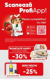 Catalog PROFI Pagină 10