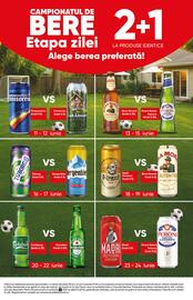 Catalog PROFI Pagină 2
