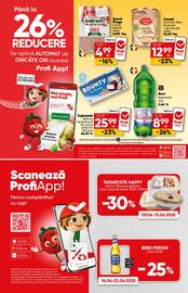 Catalog PROFI Pagină 3