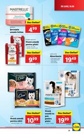 Catalog Lidl săptămâna 25 Pagină 31