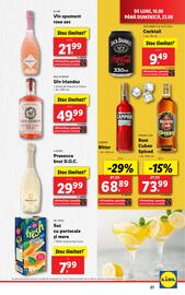 Catalog Lidl săptămâna 25 Pagină 37