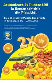 Catalog Lidl săptămâna 25 Pagină 63