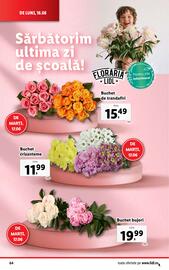 Catalog Lidl săptămâna 25 Pagină 64