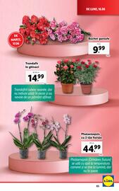 Catalog Lidl săptămâna 25 Pagină 65