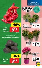 Catalog Lidl săptămâna 25 Pagină 77