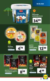 Catalog Lidl săptămâna 25 Pagină 85