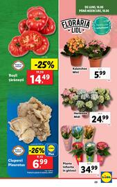 Catalog Lidl săptămâna 25 Pagină 9