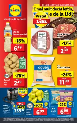 Catalog Lidl (valid până la 22-06)