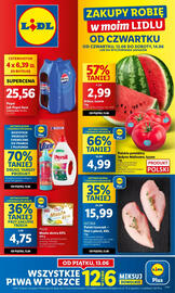 Lidl gazetka Strona 1