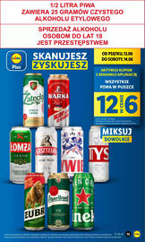 Lidl gazetka Strona 15